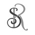 SRISTI Builders And Developers Developer Logo