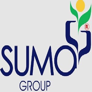 Sumo Group Developer Logo