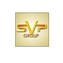 SVP Group