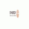 Synergy Properties Logo
