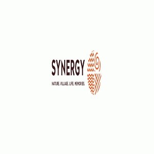 Synergy Properties developer logo