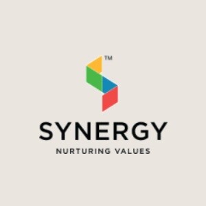 Synergy Properties Pune Logo