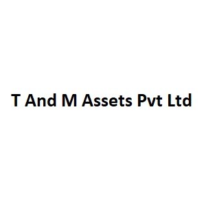 T And M Assets Pvt Ltd logo