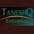 Taneshq Enterprises Developer Logo