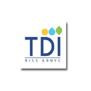TDI Infrastructure Developer Logo
