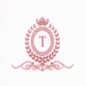 Techno Associate Builders And Developers logo