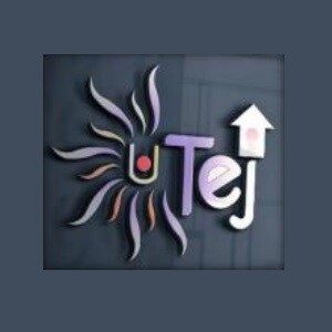 Tej Developers developer logo