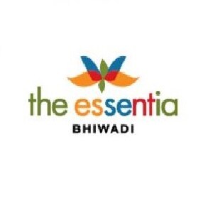 The Essentia developer logo