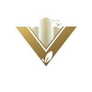 The Vibrant Group India Developer Logo