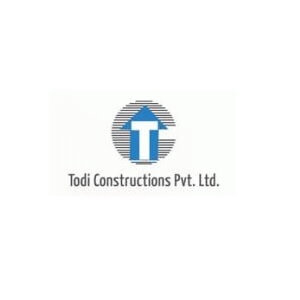 Todi logo