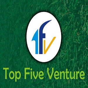 Top Five Venture logo
