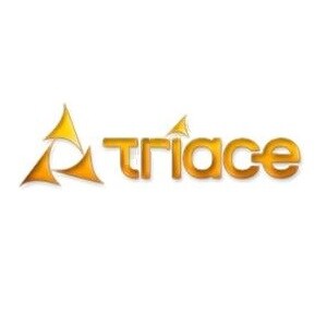 Triace Group logo