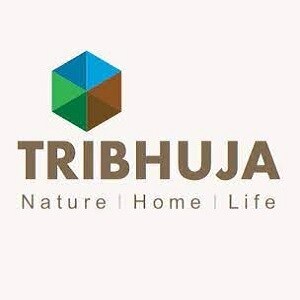 Tribhuja Developer Logo