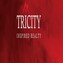 Tricity Inspired Realty