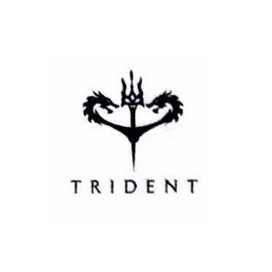 Trident Realty developer logo