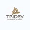 Tridev Constructions