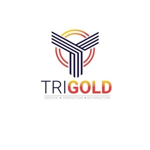 Trigold Infra Developers logo