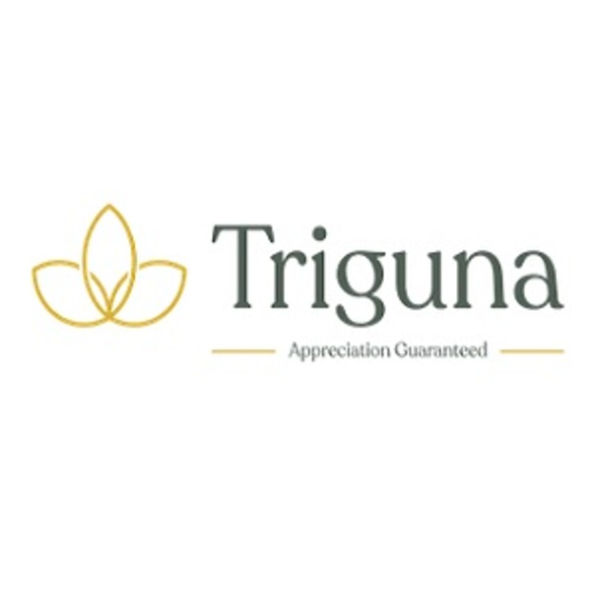 Triguna Group