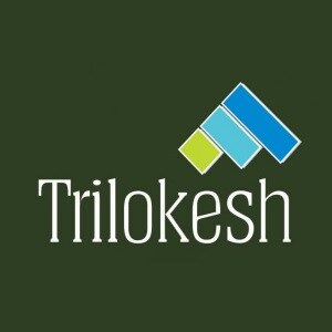 Trilokesh Infrastructure Developer Logo