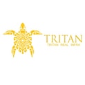Tritan Real Infra Builders Logo