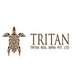 Tritan Real Infra Builders