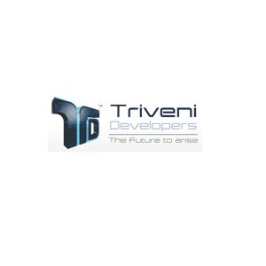 Triveni Developers logo