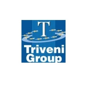Triveni Group