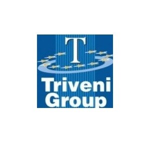 Triveni Group developer logo