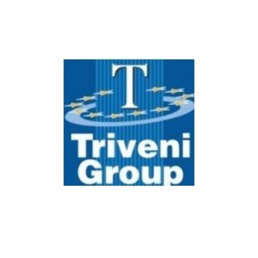 Triveni Group