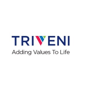 Triveni Group Thane logo
