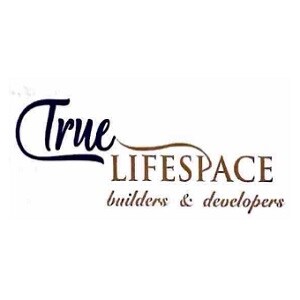 True Life Space developer logo