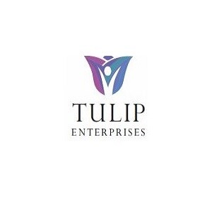 Tulip Enterprises developer logo