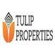 Tulip Properties