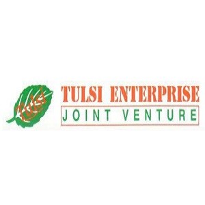 Tulsi Enterprise Joint Venture Logo