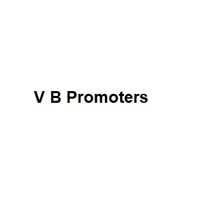 V B Promoters logo