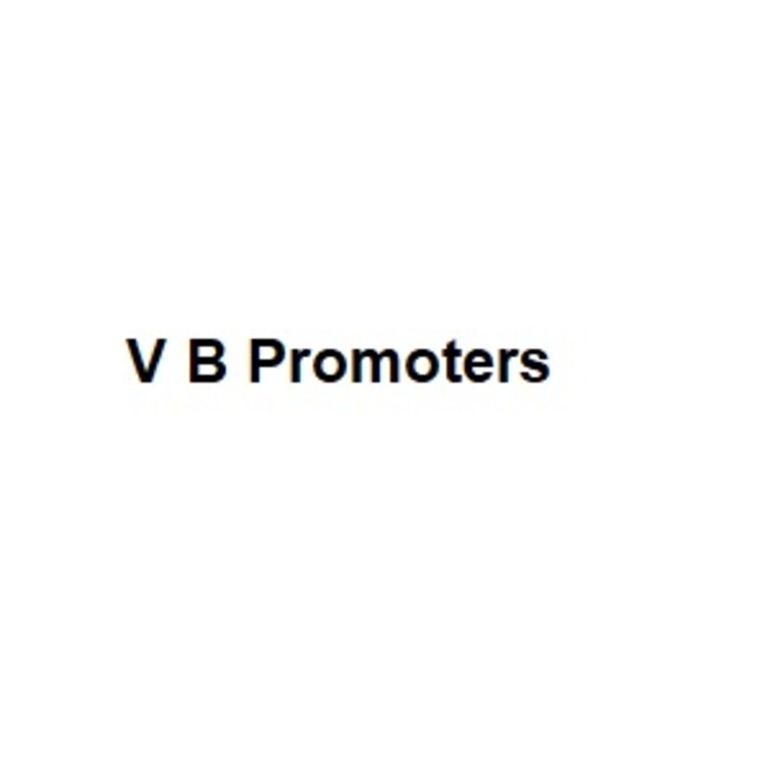 V B Promoters