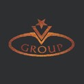 V Group Logo