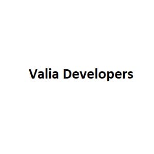 Valia Developers Logo