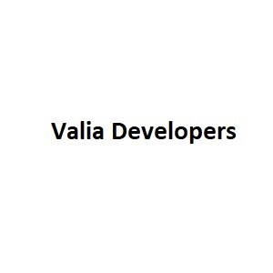 Valia Developers logo