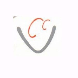 Vardhaman Associates Logo