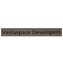 Vastuspace Developers