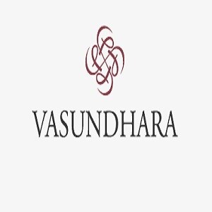 Vasundhara Properties Developer Logo