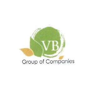 VB Group of Companies logo