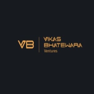 VB Ventures developer logo