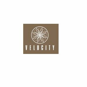 Velocity Builders logo