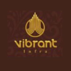 Vibrant Infra developer logo