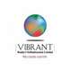 Vibrant Realty And Infrastructure Ltd