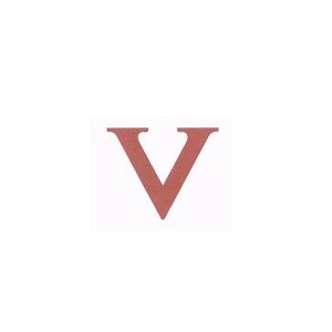 Victory Venture Developers developer logo