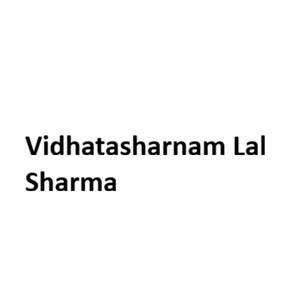 Vidhatasharnam Lal Sharma developer logo