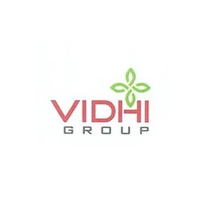 Vidhi Group Developer Logo